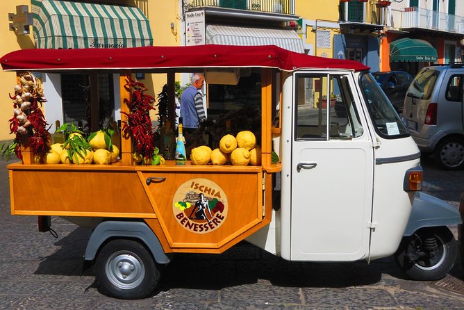 From Naples: Ischia Island Day Trip with Lunch - Who Should Book This Naples to Ischia Day Trip