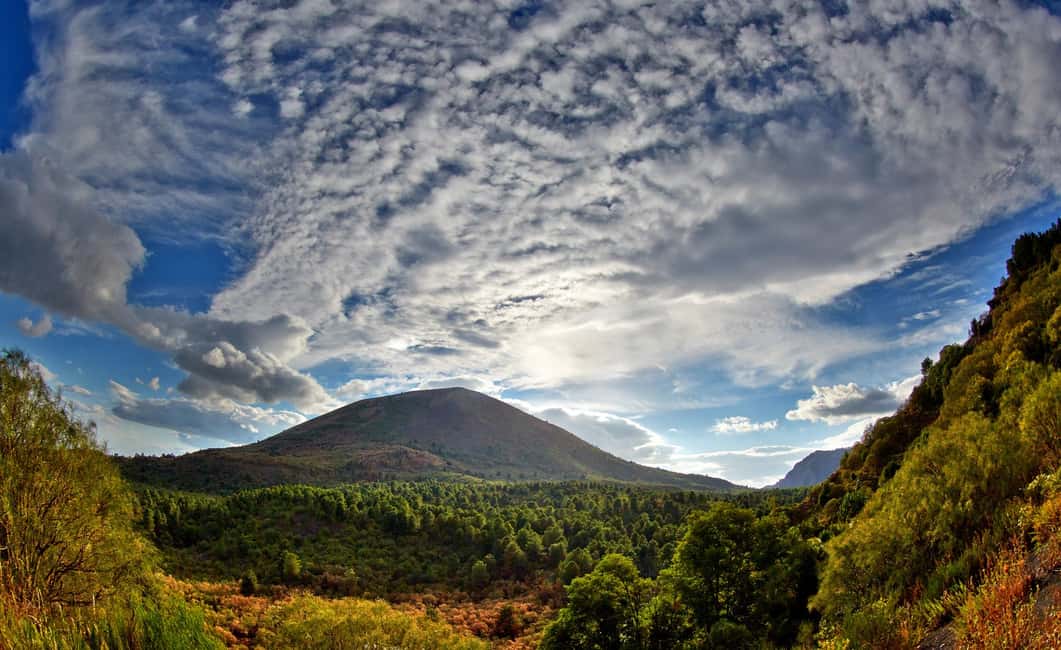 From Naples: Mount Vesuvius Half-Day Tour with Lunch - Key highlights worth your attention