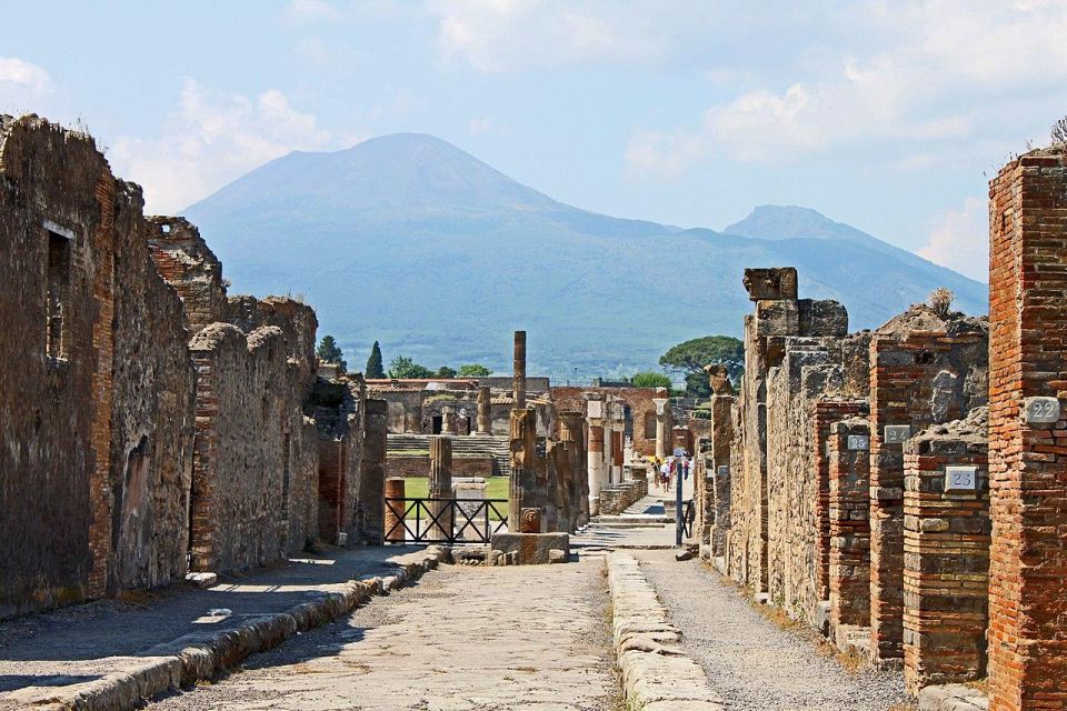 From Naples: Pompeii and Vesuvius Day Tour - What to bring for Vesuvius and Pompeii walking