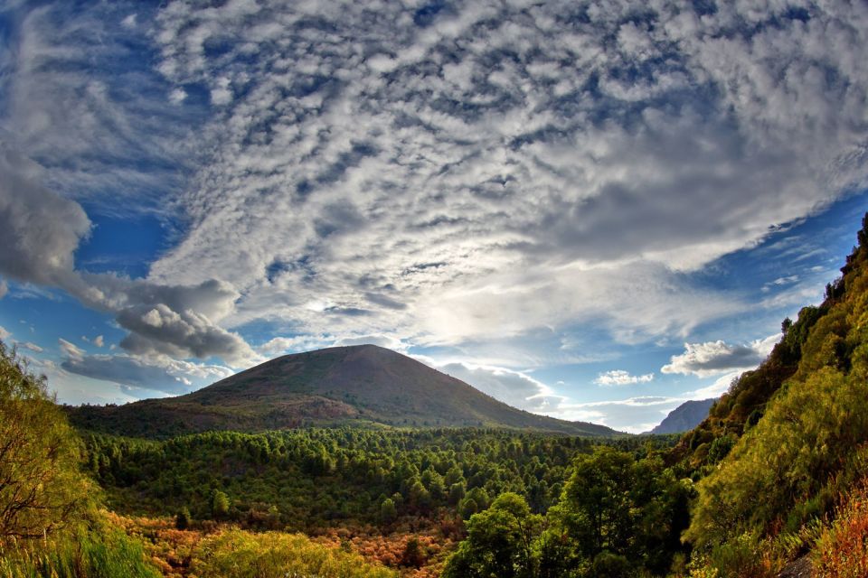 From Naples: Pompeii and Vesuvius Full-Day Tour with Lunch - Key Highlights Worth Planning For