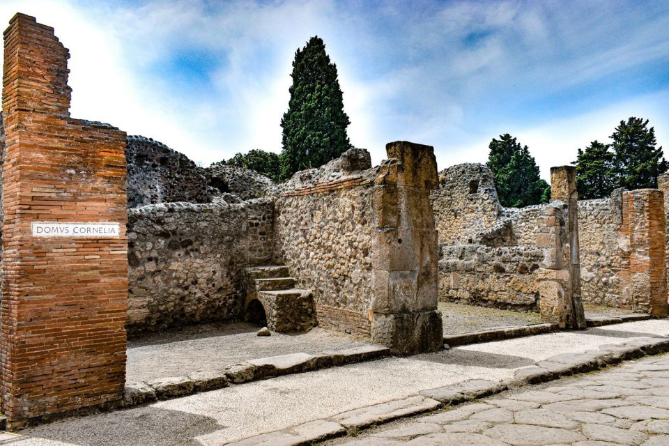 From Naples: Pompeii and Vesuvius Full-Day Tour with Lunch - Tickets and Entry Fees: How to Think About the Tour Price