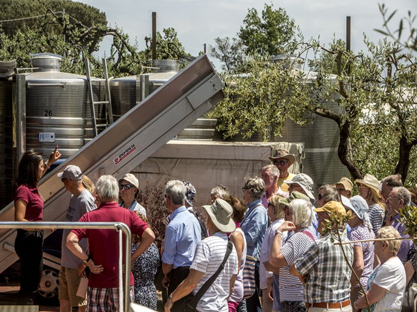 From Naples: Pompeii and Wine Tasting Tour with Lunch - Key points worth knowing before you go