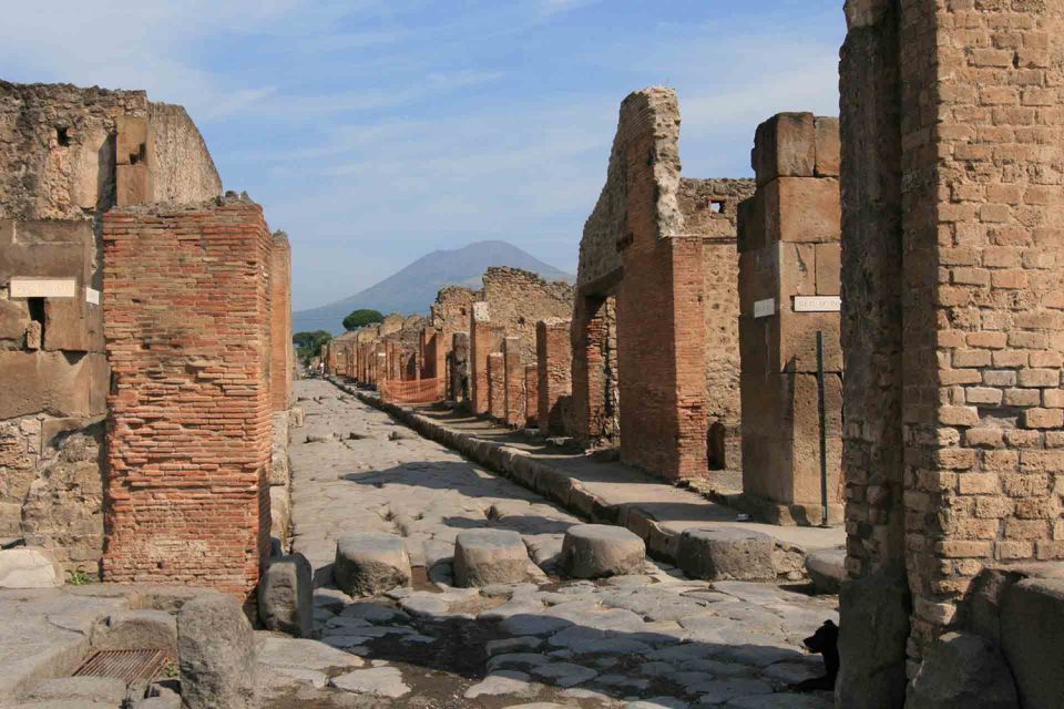 From Naples: Pompeii and Wine Tasting Tour with Lunch - Stop 1: Pompeii Archaeological Site (about 2 hours of guided walking)
