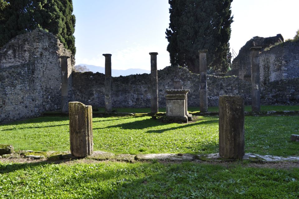 From Naples: Pompeii and Wine Tasting Tour with Lunch - Lunch at the winery: Mediterranean food that keeps up with the wine