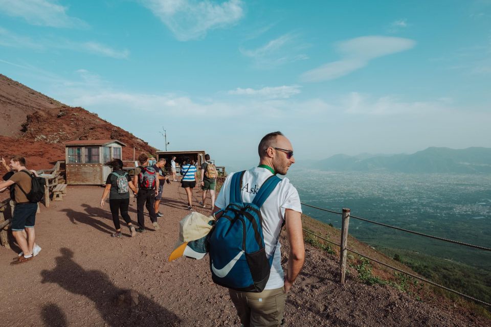 From Naples: Pompeii & Mount Vesuvius Full-Day Private Tour - Mount Vesuvius: 1.5 Hours for Crater-Rim Views