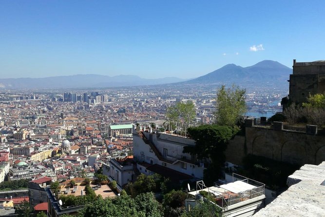 From Naples: Pompeii & Mount Vesuvius Full-Day Tour with Lunch - Vesuvius National Park: The Climb, the Crater Edge, and the View Over Naples