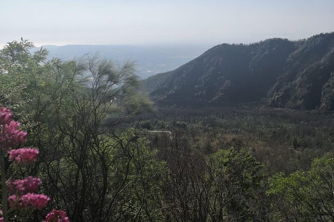 From Naples: Pompeii & Mount Vesuvius Full-Day Tour with Lunch - FAQ
