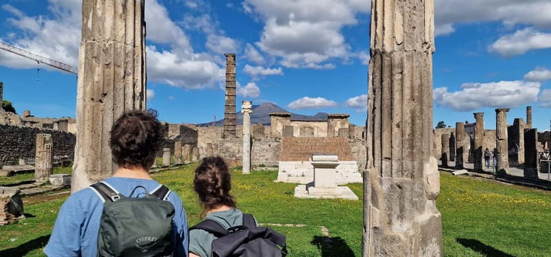 From Naples: Pompeii Private Tour with Transfer and Guide - Skip-the-line entrance and getting oriented with a live guide