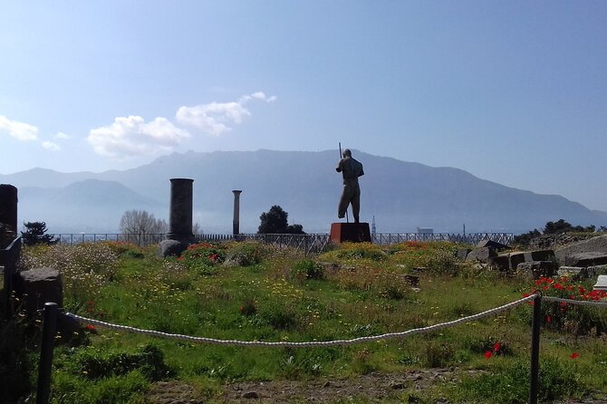 From Naples: Pompeii & Wine Tasting" Private Day Tour - Key highlights