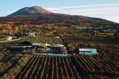 From Naples: Pompeii & Wine Tasting" Private Day Tour - Pickup in Naples and the ride you actually want