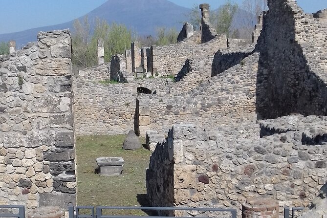 From Naples: Pompeii & Wine Tasting" Private Day Tour - Price and logistics: what $248.72 covers (and what it doesn’t)