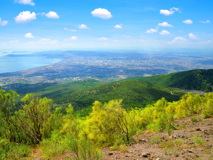 From Naples Port: Vesuvius and Pompeii Tour with Tickets - FAQ