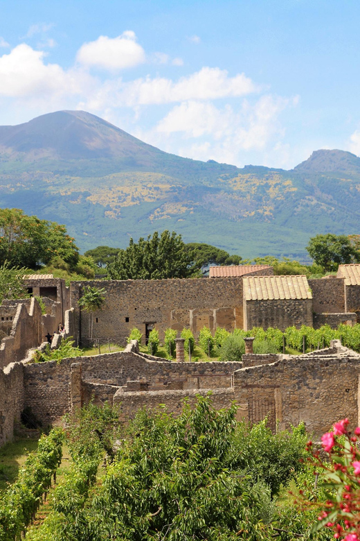 From Naples Port:Pompeii+Vesuvius tour - What 2 hours in Pompeii really means (and how to use it well)