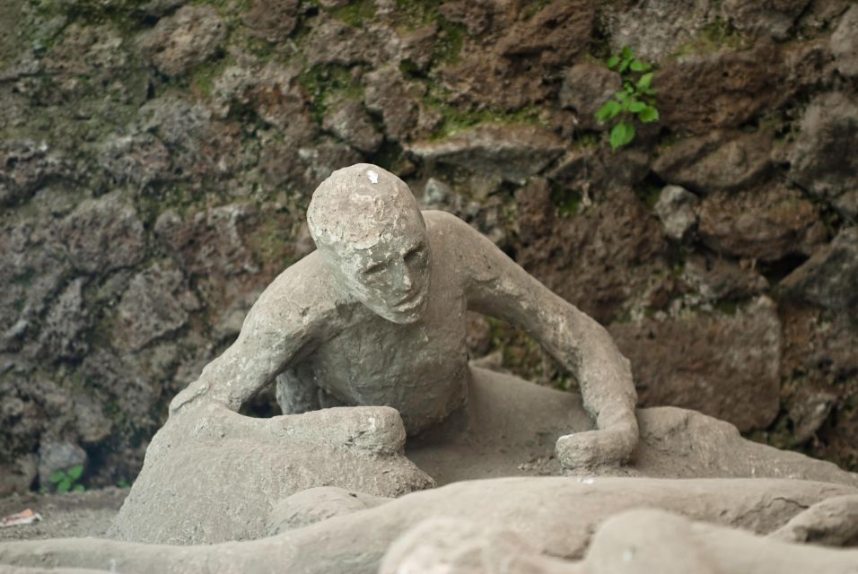From Naples: Private tour of Pompei, Sorrento & Positano - How this Naples-to-Pompeii day gets you value fast