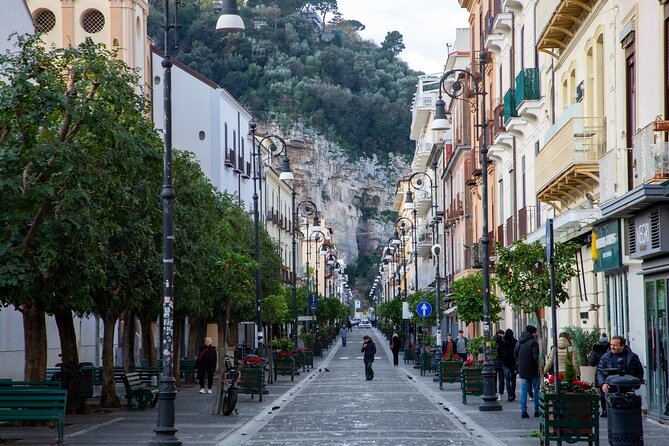From Naples: Private Tour Pompei and Sorrento with lunch - Limoncello factory and the lemon grove: more than a quick tasting