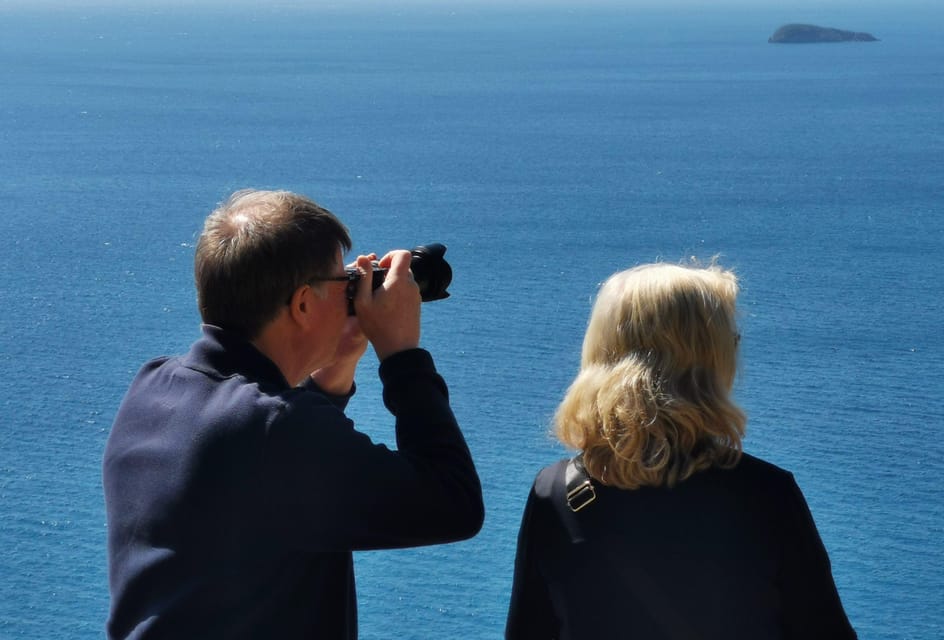 From Naples: Private Tour to Pompeii, Sorrento, and Positano - Positano: Cliffside Streets, Free Time, and Photo Stops