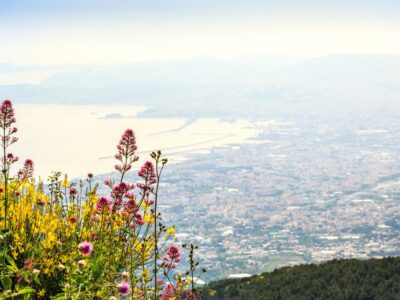 From Naples: Vesuvius & Pompeii with Transfer & Audio Guide - Mount Vesuvius: crater walk, views, and what to expect at 1,000 meters