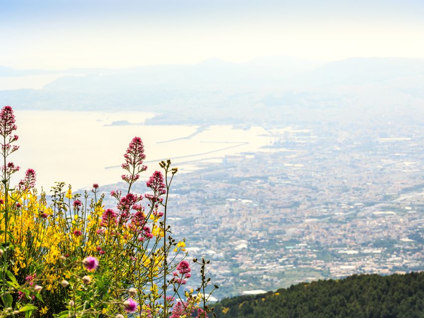 From Naples: Vesuvius & Pompeii with Transfer & Audio Guide - Mount Vesuvius: crater walk, views, and what to expect at 1,000 meters