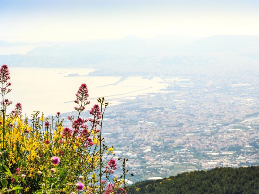 From Naples_Pompeii&Vesuvius - Key things I’d plan around