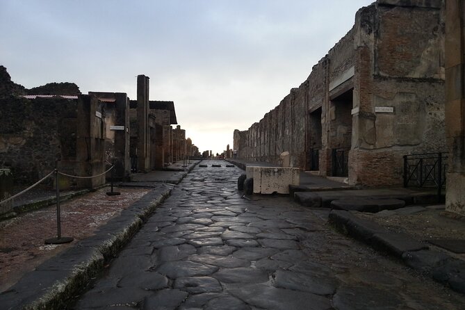 From Pompeii: Day Tour of Pompeii and Vesuvius with Bus Transfer - Vesuvius National Park: The Steep Hike Toward the Crater