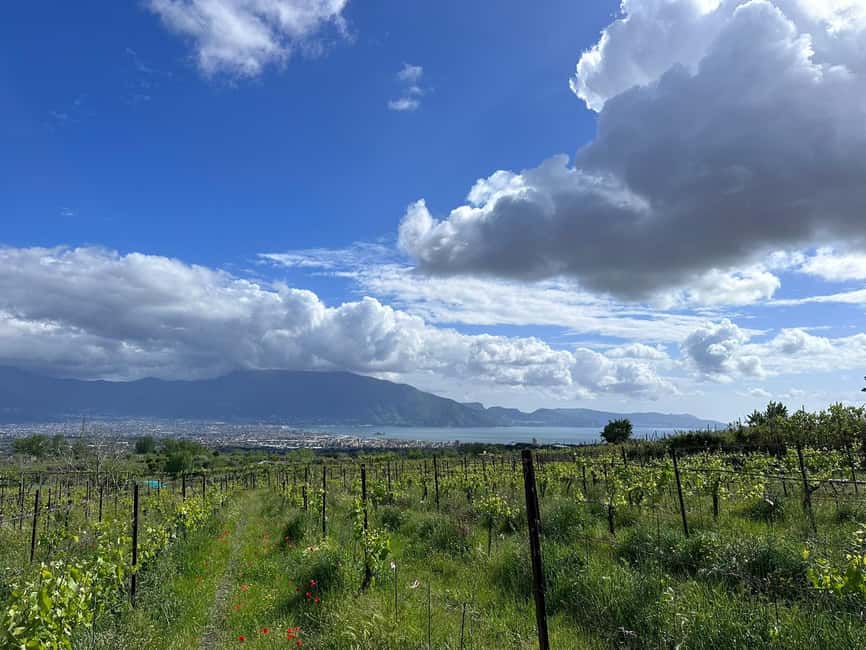 From Pompeii: Mount Vesuvius Horseback Riding Tour - Key things to know before you go