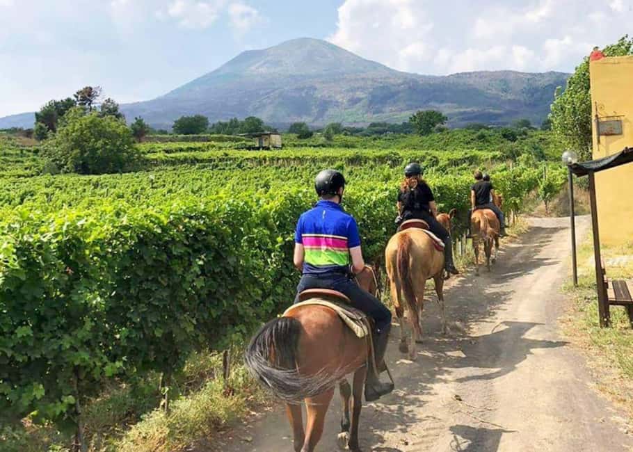 From Pompeii: Mount Vesuvius Horseback Riding Tour - Horse training that works for beginners (and doesn’t bore experienced riders)