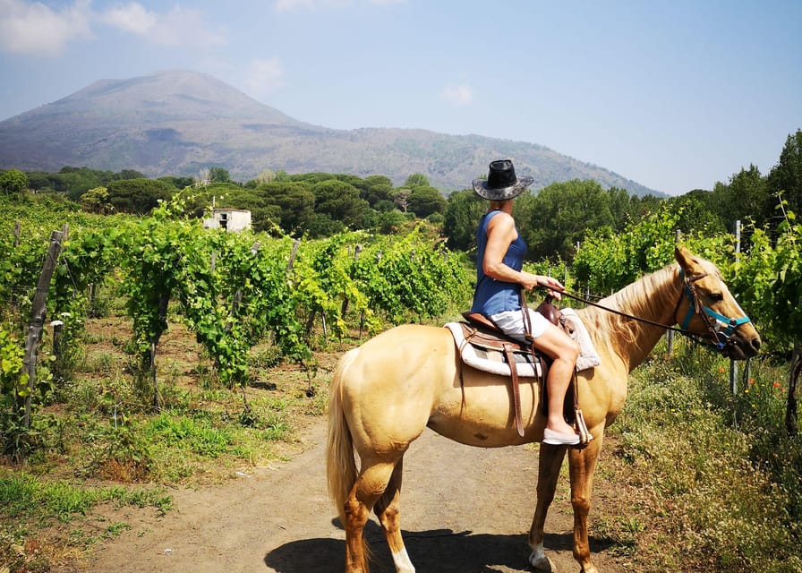From Pompeii: Mount Vesuvius Horseback Riding Tour - What you learn about the Vesuvius landscape: grapevines, soil, and vegetation