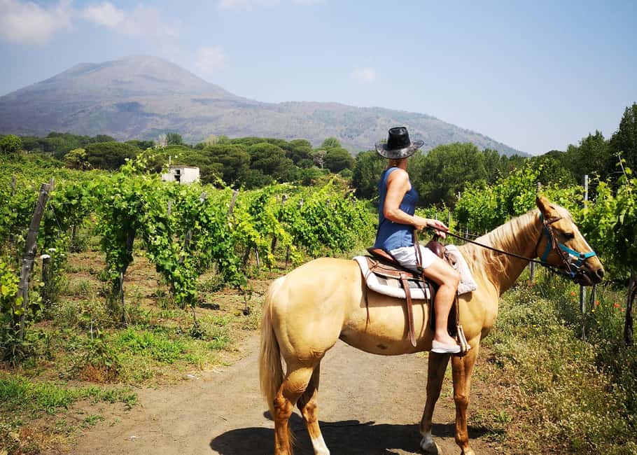 From Pompeii: Mount Vesuvius Horseback Riding Tour - Who should book this horseback ride from Pompeii?