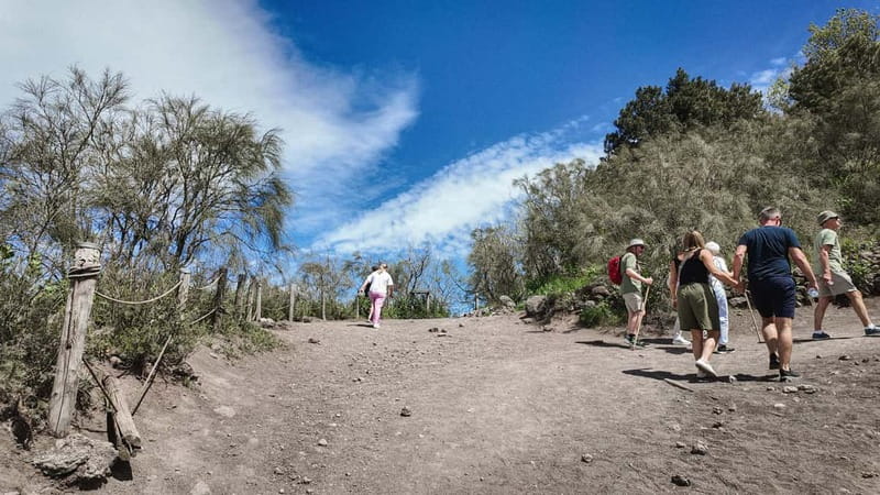 From Pompeii: Mount Vesuvius with bus, ticket and audioguide - Comfort and pace tips for a short volcano visit