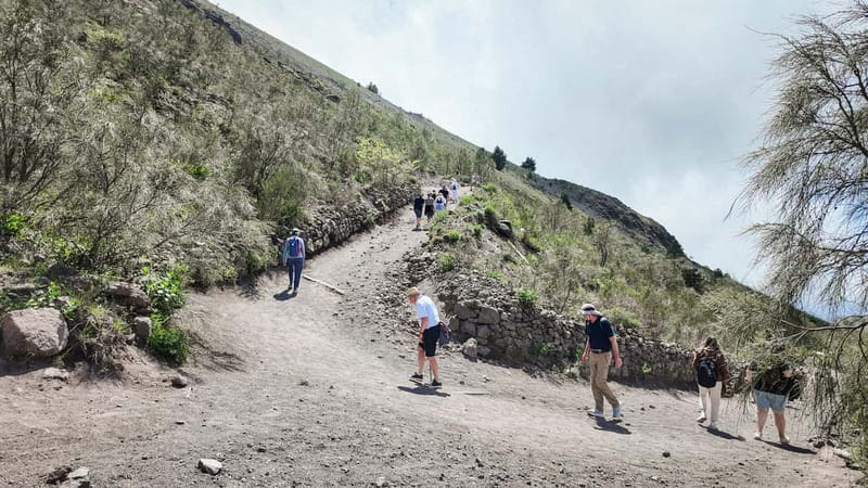 From Pompeii: Mount Vesuvius with bus, ticket and audioguide - Price check: does $39 deliver real value?