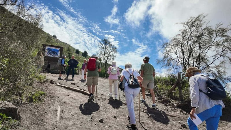 From Pompeii: Mount Vesuvius with bus, ticket and audioguide - Should you book this Pompeii-to-Vesuvius tour?