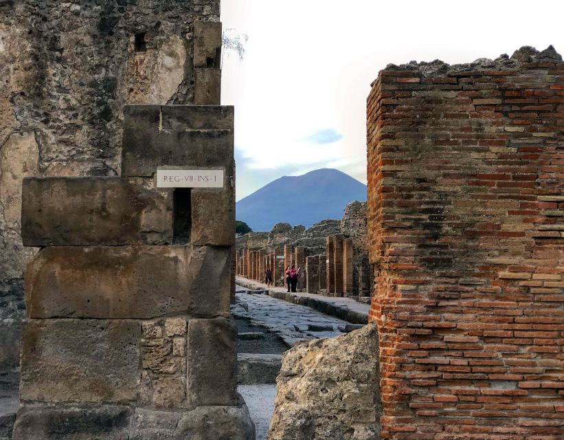From Positano: Pompeii and Vesuvius Guided Tour - Vesuvius views, fitness checks, and motion-sickness prep