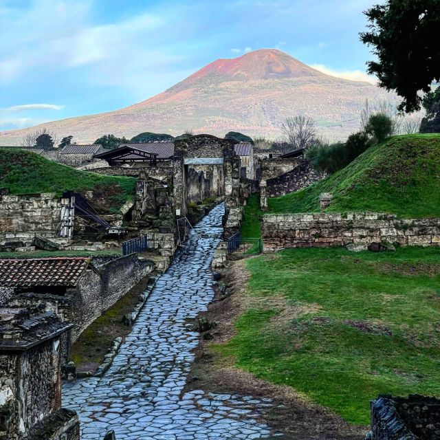 From Positano: Pompeii and Vesuvius Guided Tour - Who this tour suits best (and who should reconsider)