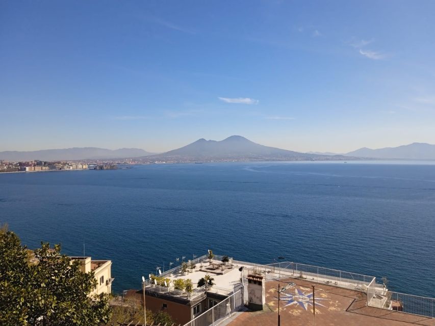 From Rome: Full Day Pompeii and Naples Tour - Pompeii with an official guide: why it feels different