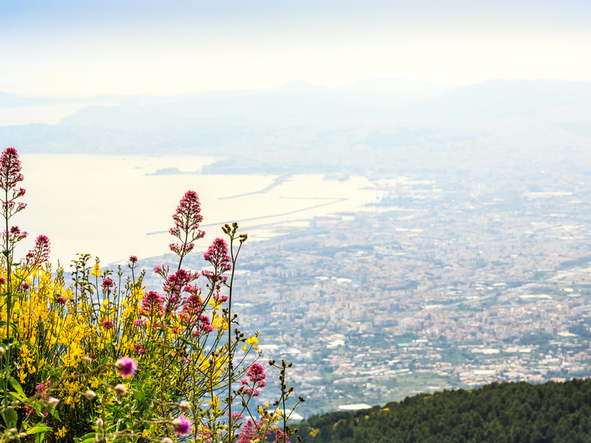 From Salerno: Mount Vesuvius and Pompeii Ruins Day Trip - Time pressure, food, and bathroom reality on a 7-hour schedule
