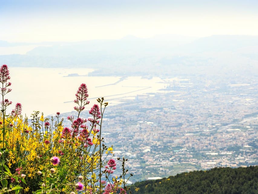From Salerno_Pompeii&Vesuvius - Audioguide basics: ID rules and luggage limits
