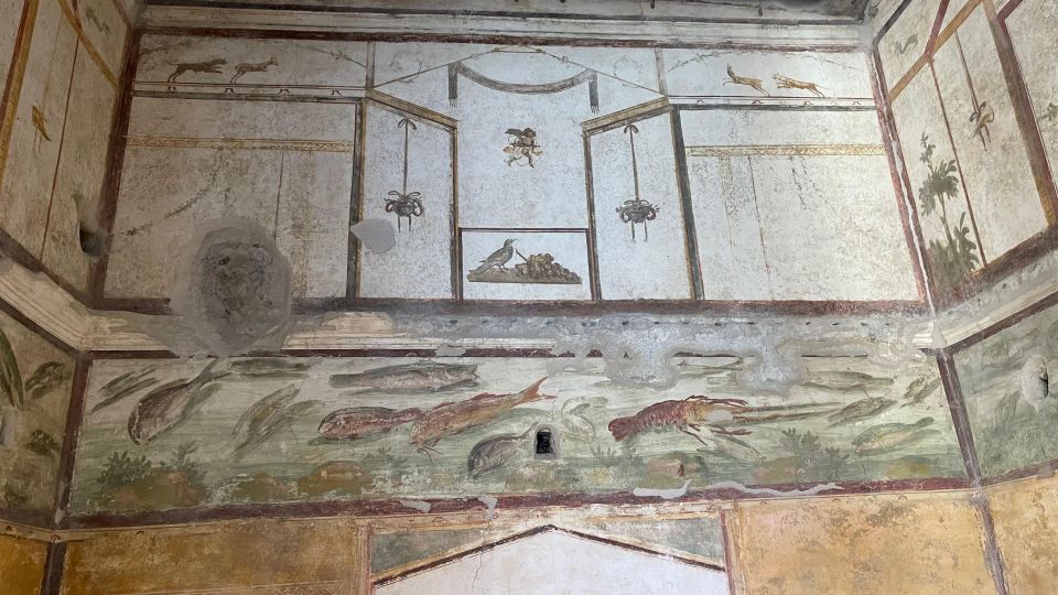 From Sorrento: Pompeii & Vesuvius tour small group - Vesuvius From 1000 m: Gran Cone Path to Crater Views