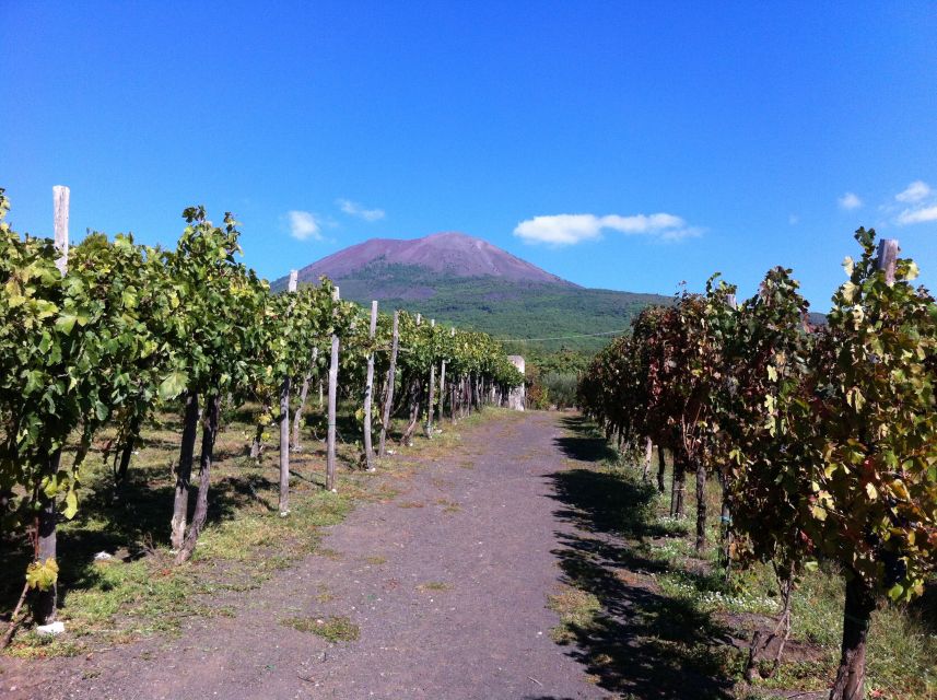 From Sorrento: Skip-the-Line Guided Vesuvius Hike and Lunch - Quick highlights you should care about