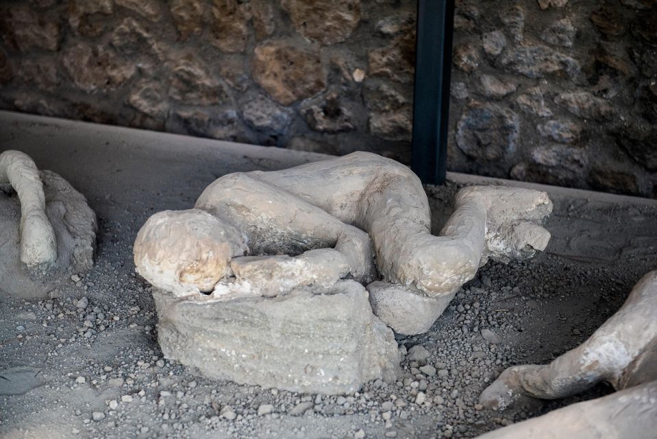 Full-Day Pompeii, Positano & Sorrento Shore Excursion - Should you book this Pompeii, Positano & Sorrento shore excursion?
