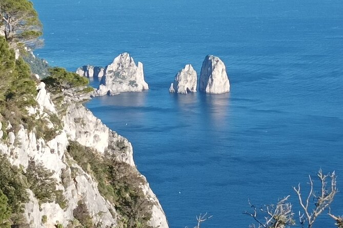 Full-Day Private Capri, Anacapri and Blue Grotto Tour from Naples - Anacapri and Monte Solaro: chairlift views that earn their ticket