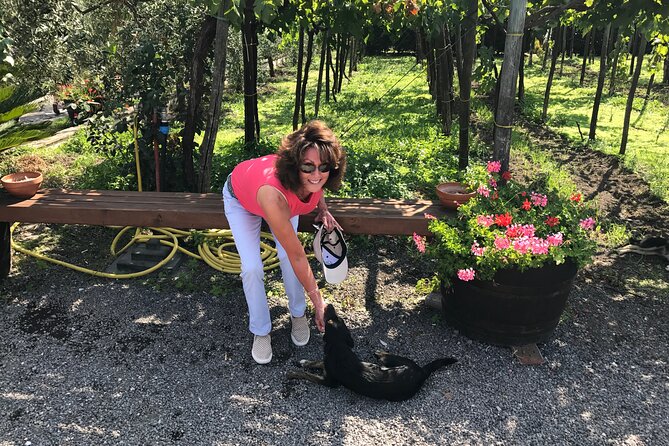 Full Day Private Tour in Pompeii, Vesuvio and Sorrento - Price and Value: What You Pay vs. What You’ll Budget