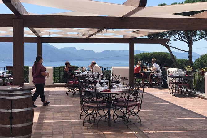 Full Day Private Tour in Pompeii, Vesuvio and Sorrento - Sorrento in the Olive and Lemon Groves: Tasting with Context