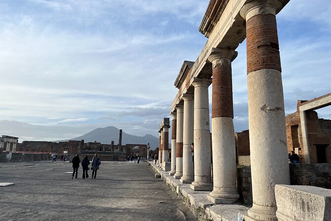 Full Day Private Tour to Pompeii, Herculaneum and Oplontis - How the private vehicle changes a full day on Vesuvius