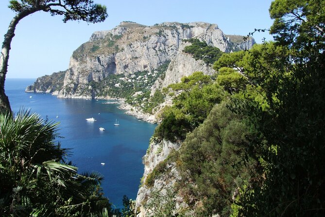 Full-Day Tour of the Amalfi Coast and Pompeii from Naples - Key things that make this day trip work