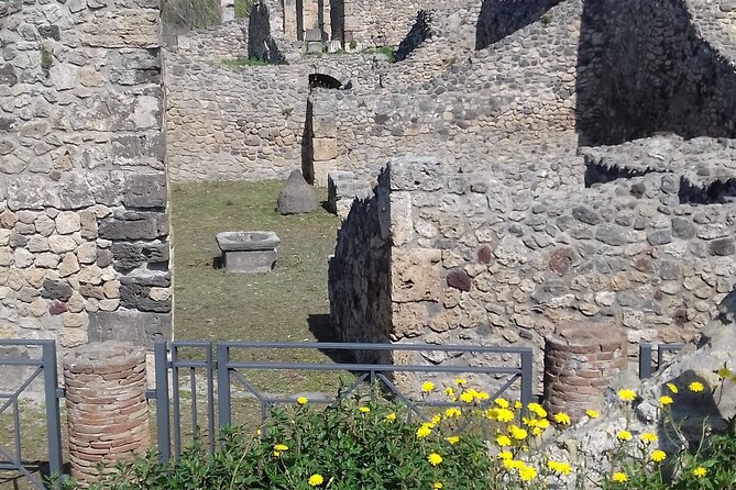 Full Day Tour Pompeii–Sorrento -Positano - Value check: is $342.07 per person a fair deal?