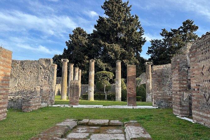 Full Day Tour to Pompeii, Vesuvius and Wine Tasting - Bosco de Medici Winery: lunch, gardens, and a wine tasting you choose