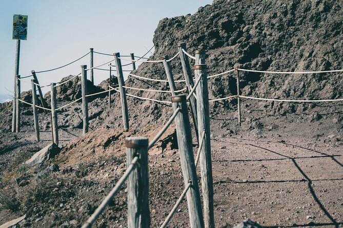Full Day Tour to Pompeii, Vesuvius and Wine Tasting - English support and the “fit” for different travelers