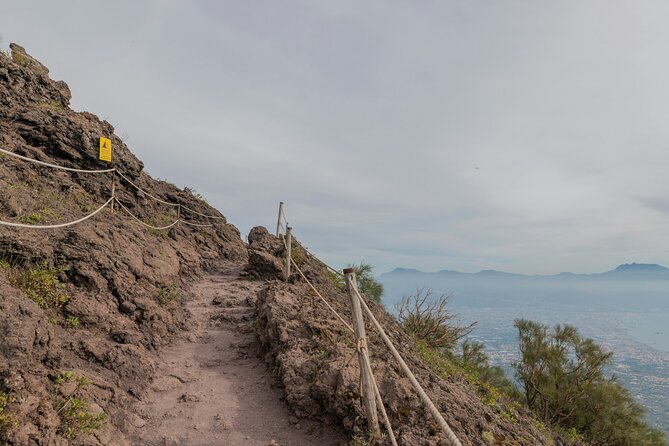 Full Day Tour to Pompeii, Vesuvius and Wine Tasting - How to decide if this is the right day for you