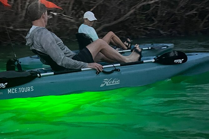 Guided Glow LED Kayak Sunset Activity in Bonita Springs - Estero Bay at Sunset and LEDs After Dark: Two Experiences in One