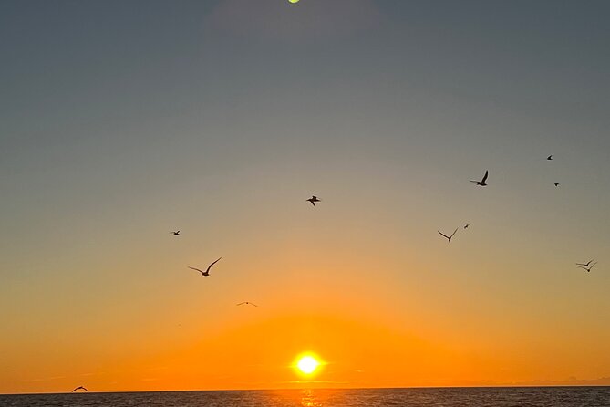 Guided Glow LED Kayak Sunset Activity in Bonita Springs - Who This Tour Fits Best (and Who Might Want Another Option)